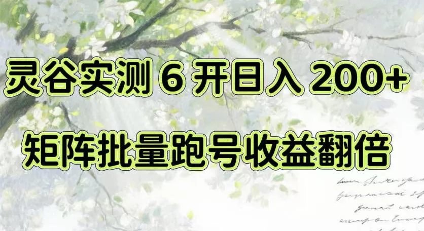 一台电脑就能做！灵谷实测6开日入200+，矩阵批量跑号收益翻倍【揭秘】