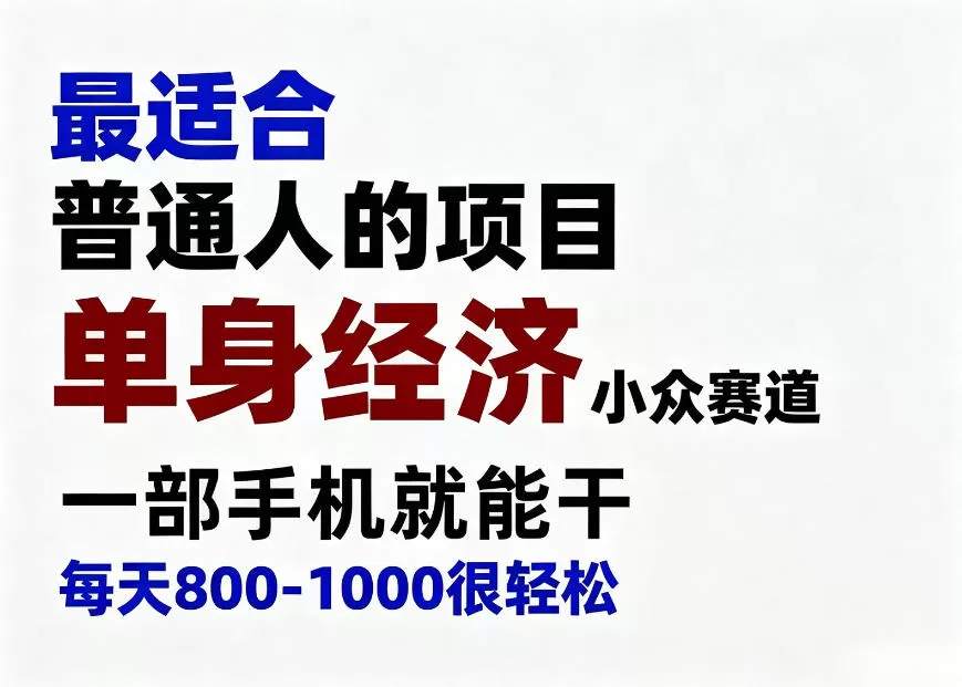 身经济小众赛道，一部手机就能干，每天搞个800-1000很轻松，最适合普通人的项目【揭秘】